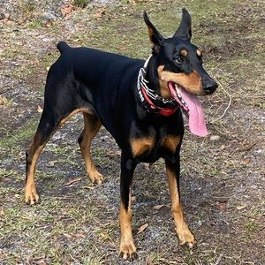 Meet your Posher, Tracey